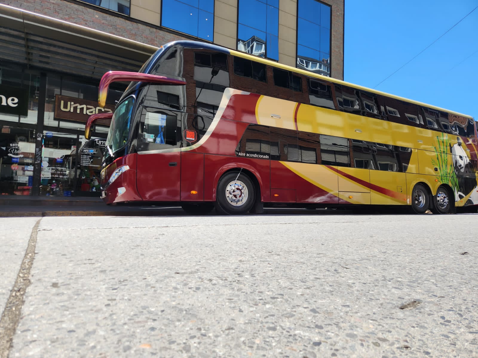 Bus ejecutivo